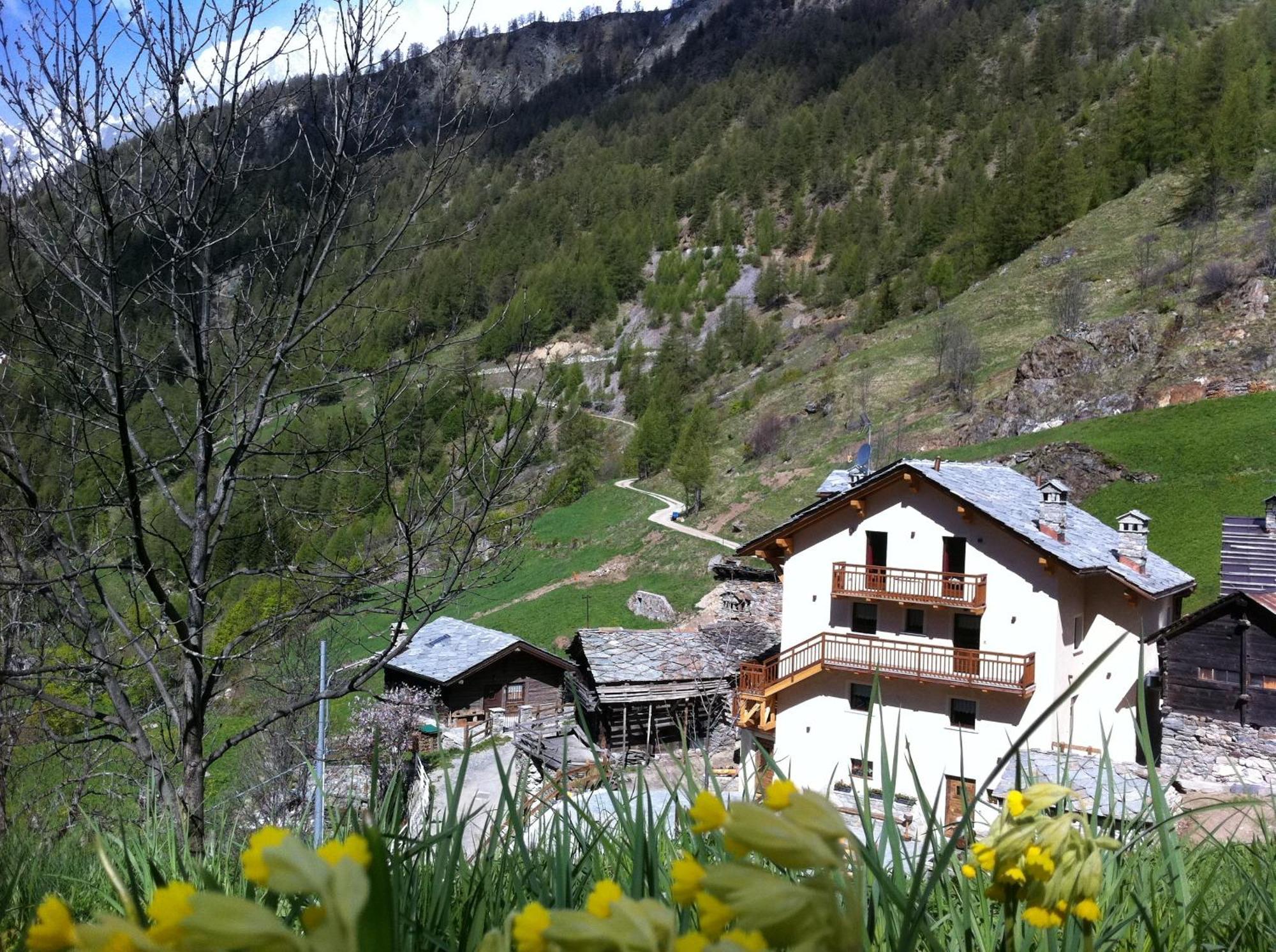 Bed and Breakfast Alpe Rebelle Bionaz Экстерьер фото