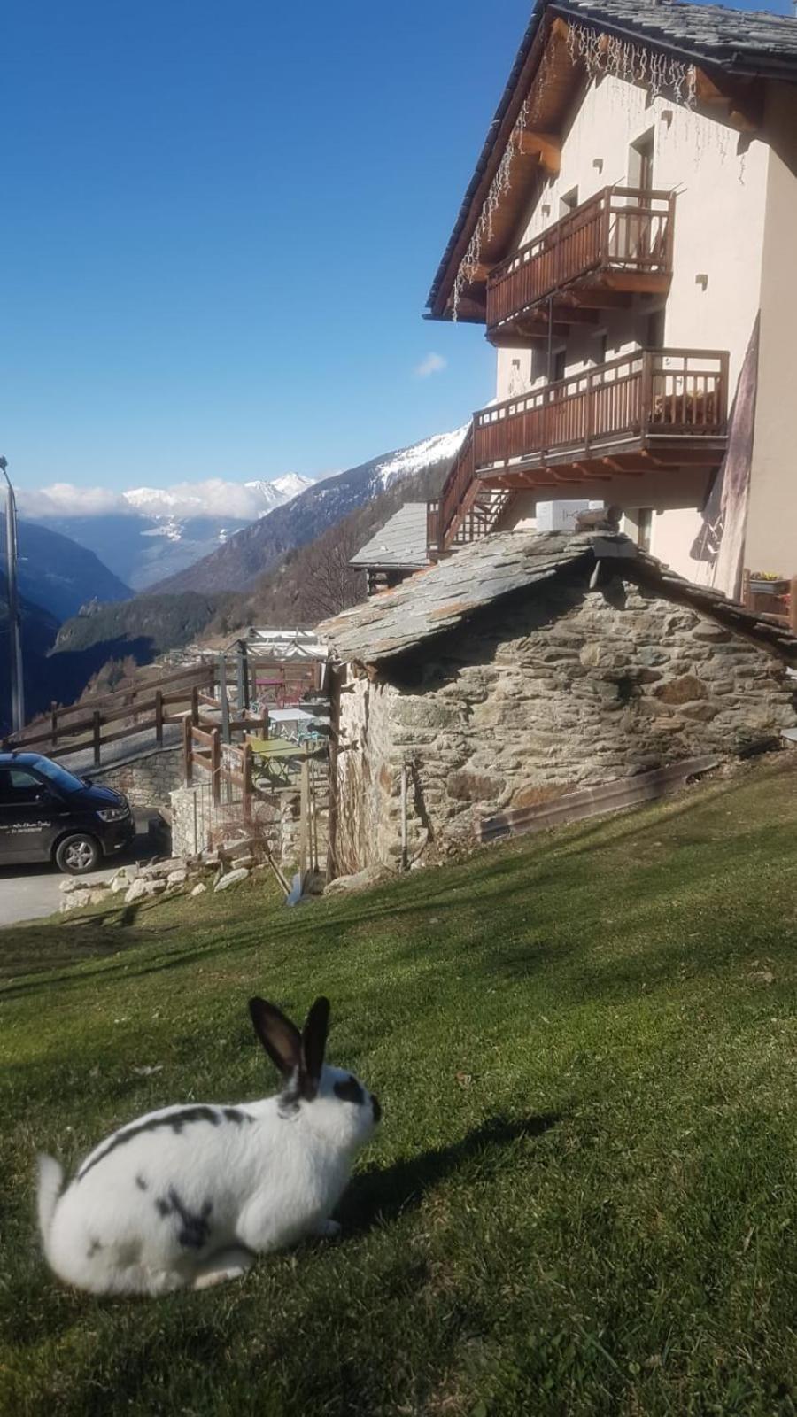 Bed and Breakfast Alpe Rebelle Bionaz Экстерьер фото